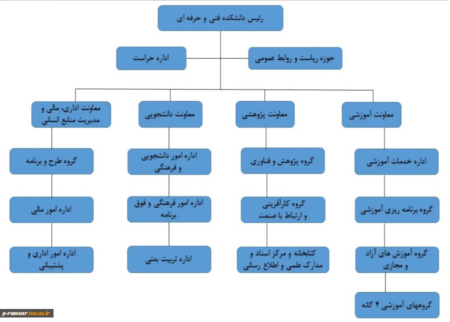 چارت سازمانی