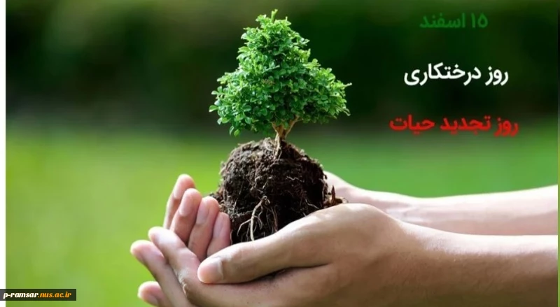 روز درختکاری | بهانه ای برای دوستی با زیبارویان طبیعت